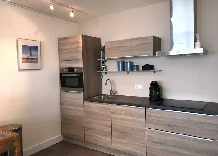 Dreamview ザントフォールト